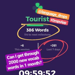 An app screen that shows 386 foreign vocabulary words learned