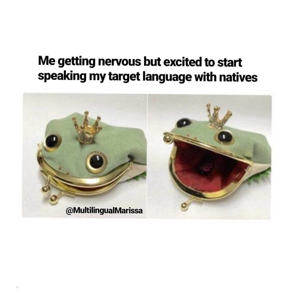 A meme where a little toy shaped like a frog is ecited to "start speaking my target language with natives"