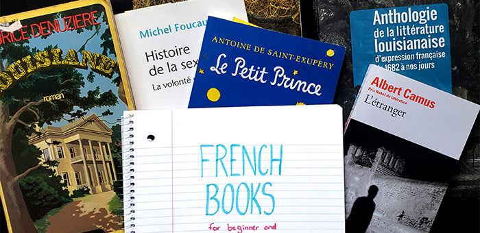 french books for beginner and intermediate students1