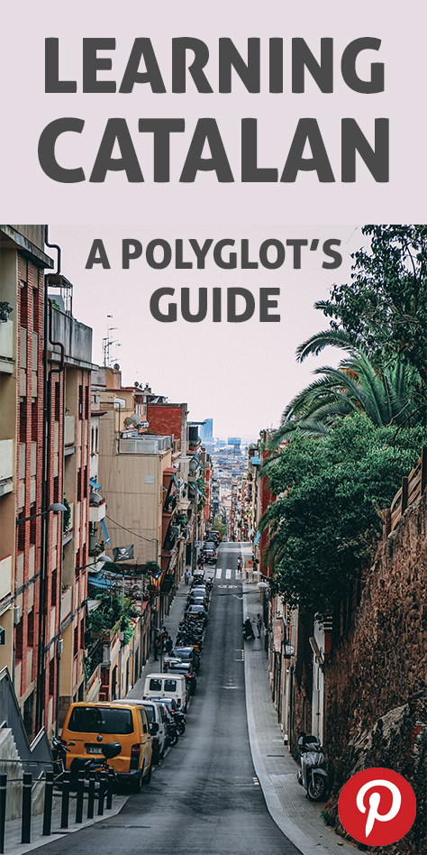 The Pinterest flag for Learning Catalan: a polyglot's guide